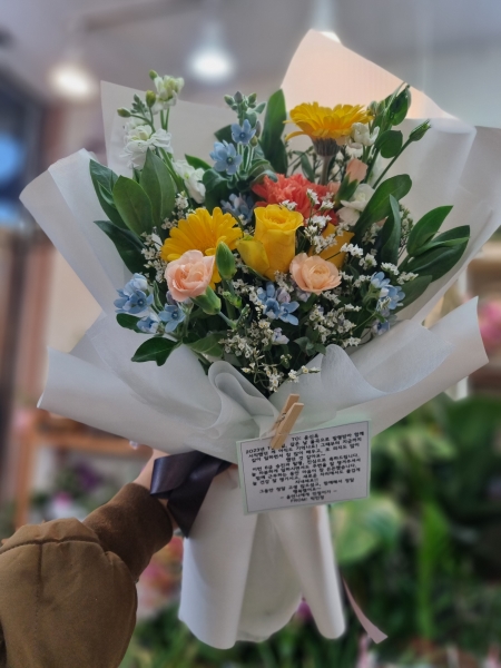 Ȳ�ݺ� ����� ���� �ɹ�� ���� 