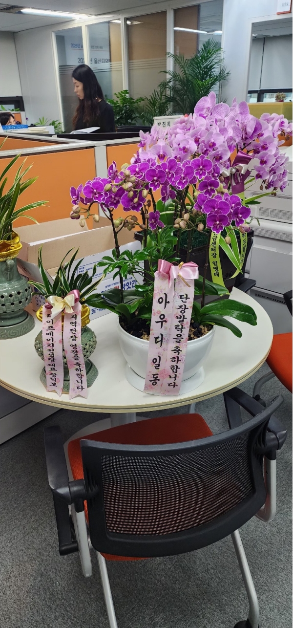 ������ ������ ����ϴ�, ���� ����� �뱹 �ɹ�� ���� 