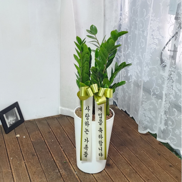 �������� ������õ - �̱׷��� ������ C �ɹ�� ���� 