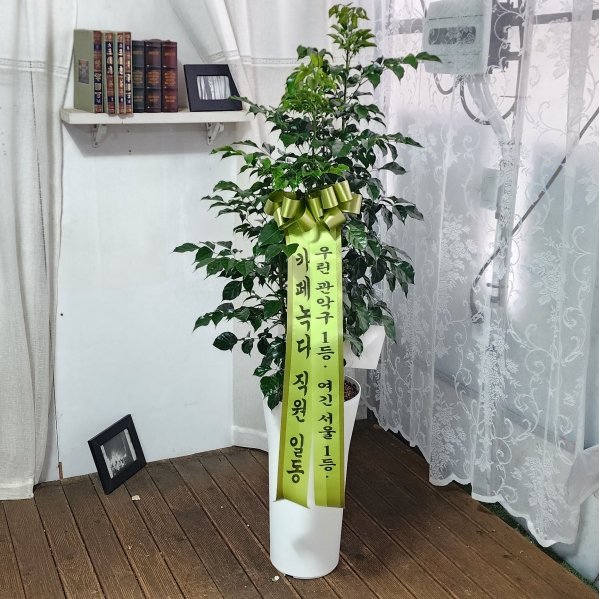 �������� ������õ - ���� �캸��A �ɹ�� ���� 