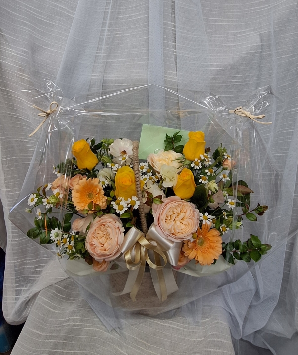 �޻� ���� �� �ٱ��� �ɹ�� ���� 