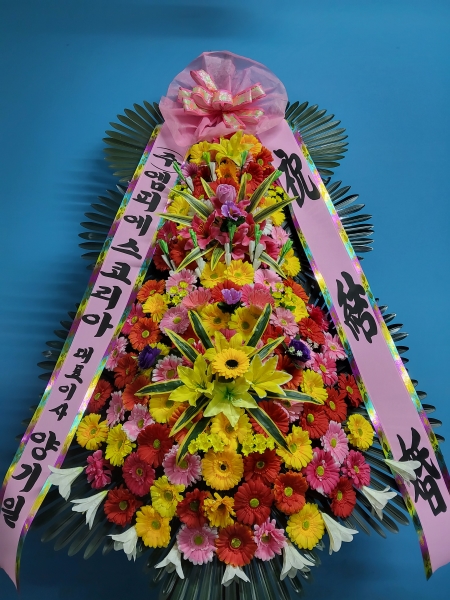 ����3�ܱ⺻ȭȯ �ɹ�� ���� 