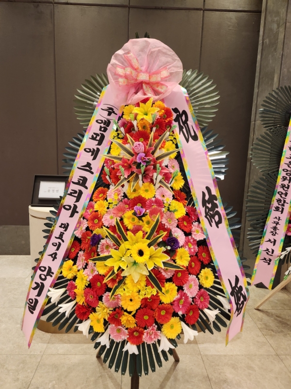 ����3�ܱ⺻ȭȯ �ɹ�� ���� 