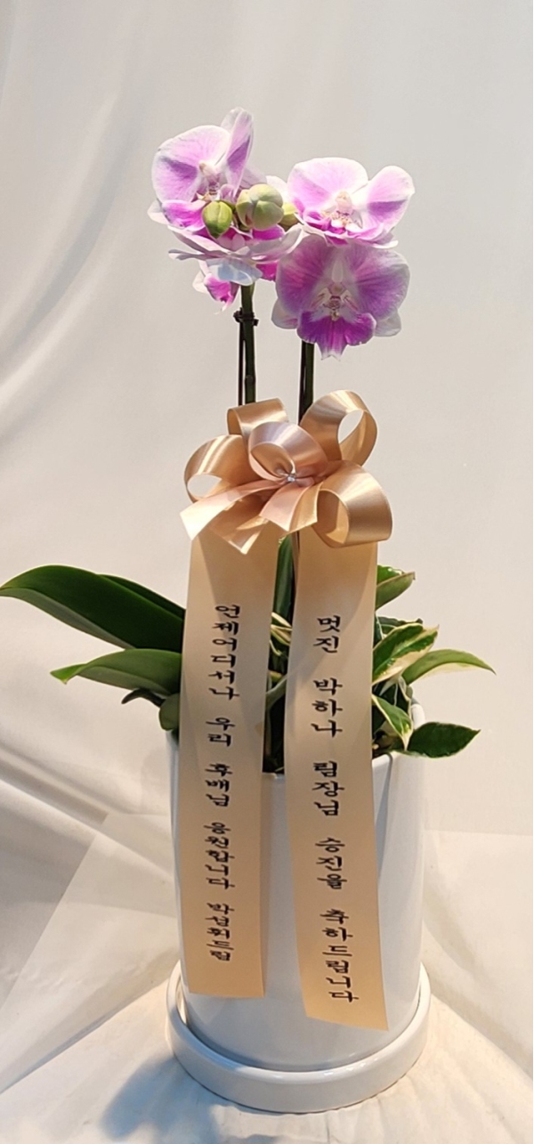 [����]�����ϴ� ���� ��� - ȣ���� ���� (��) (ȭ�⺯��) �ɹ�� ���� 