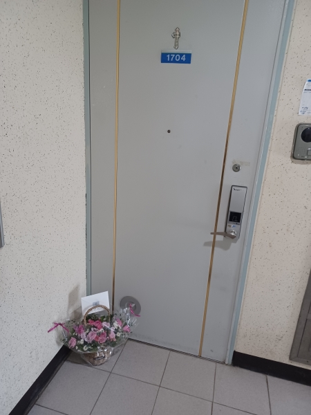 []Rose day-ູ  ɹ  