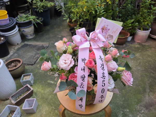 []Rose day-ູ  ɹ  