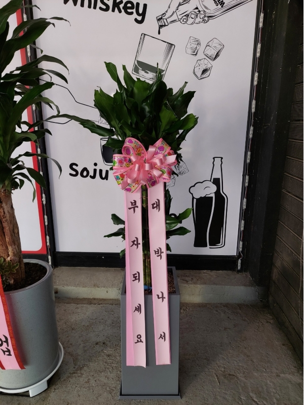 �������ϴ�ǥȭ��  - ��ڳ��ð� �����ϼ��� �������� Ȳ���� �ɹ�� ���� 