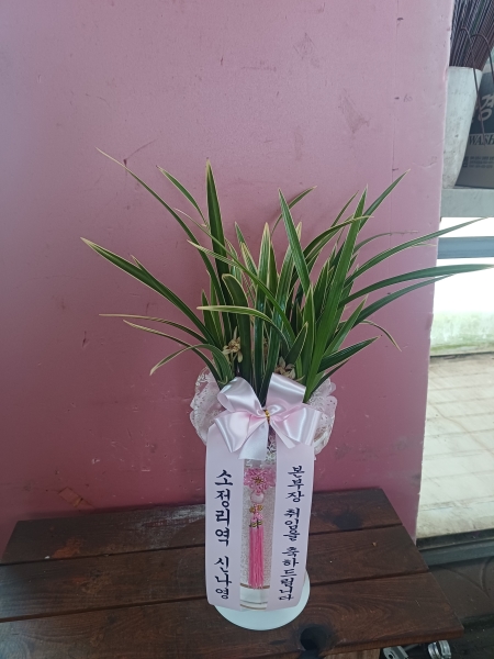 [�λ��̵� ��õ] ���� ���� �Ǿ��ִ� ����� �ɹ�� ���� 