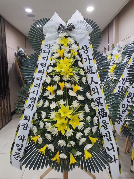 ô  ǰ! - ö119 3ܱ⺻ȭȯ  (Ʈ) ɹ  