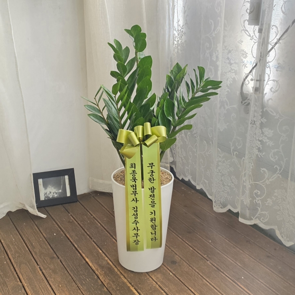 �������� ������õ - �̱׷��� ������ C �ɹ�� ���� 