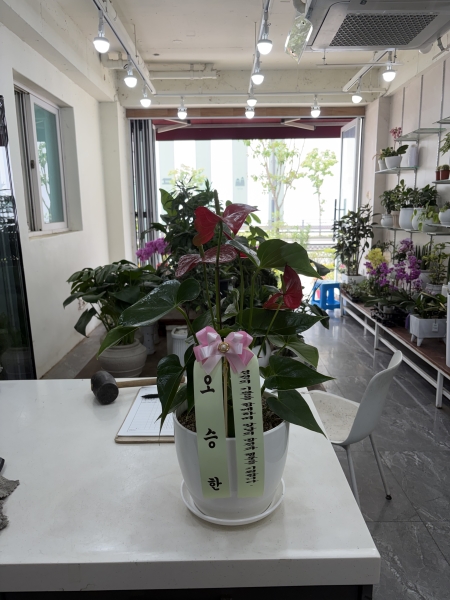 [������]Table deco. �׸�ȭ���� �Ƚ����� (* ȭ�� ����) �ɹ�� ���� 