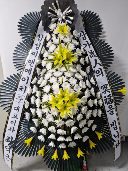  3 ȭȯ (  ) - ﰡ  ..... ɹ  