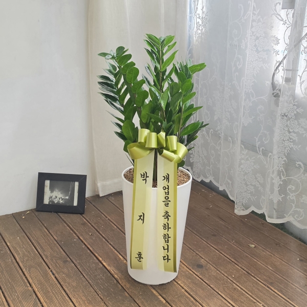 �������� ������õ - �̱׷��� ������ C �ɹ�� ���� 