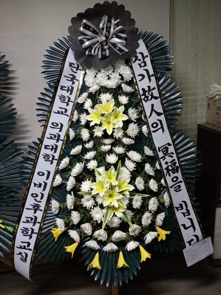 ô  ǰ! - ö119 3ܱ⺻ȭȯ  (Ʈ) ɹ  