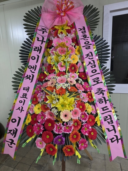 ȥ 3ȭȯ - (3 ⺻)λ  ο.... ɹ  