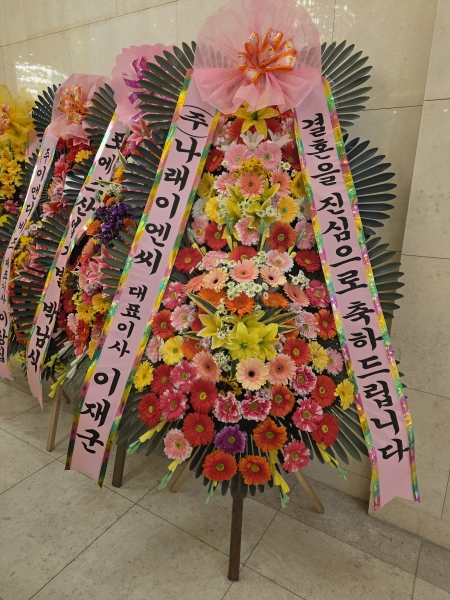 ȥ 3ȭȯ - (3 ⺻)λ  ο.... ɹ  