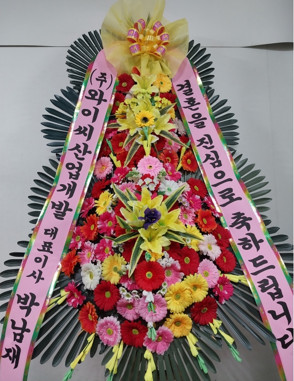 ȥ 3ȭȯ - (3 ⺻)λ  ο.... ɹ  