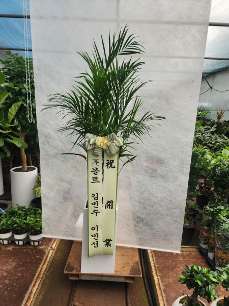 Office & Nature Ʒī (Ư) ɹ  