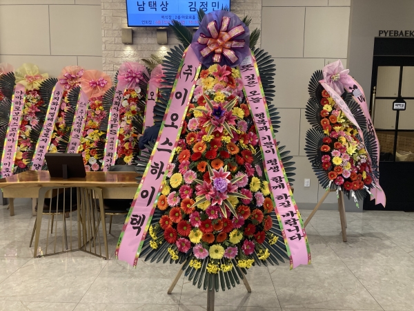 ȥ 3ȭȯ -(3ܰ) κ  ູ ɹ  