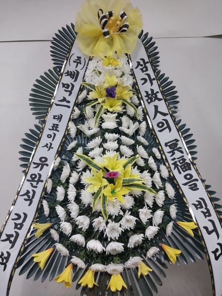 ô  ǰ! - ö119 3ܱ⺻ȭȯ  (Ʈ) ɹ  