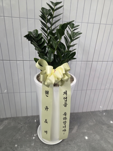 �������� ������õ - �̱׷��� ������ C �ɹ�� ���� 