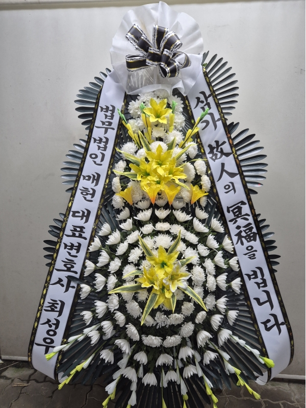 ô  ǰ! - ö119 3ܱ⺻ȭȯ  (Ʈ) ɹ  