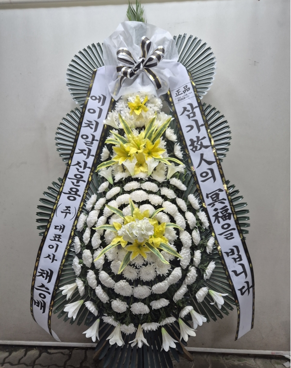 ô  ǰ! - ö119 3ܱ⺻ȭȯ  (Ʈ) ɹ  