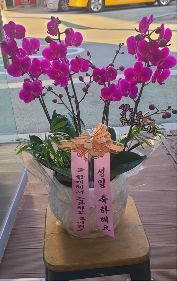 []   - õȫ () (ȭ⺯) ɹ  