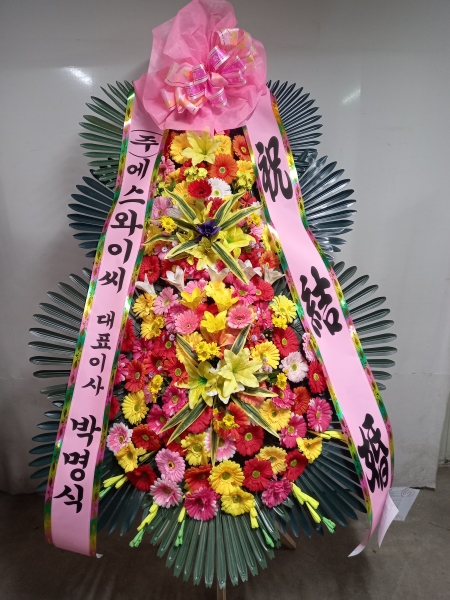 ȥ 3ȭȯ - (3 ⺻)λ  ο.... ɹ  