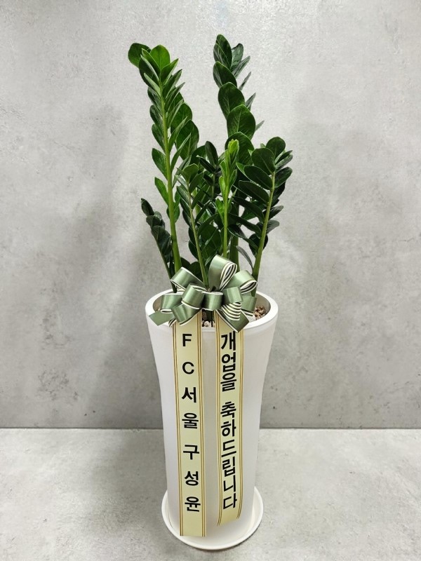 �������� ������õ - �̱׷��� ������ C �ɹ�� ���� 