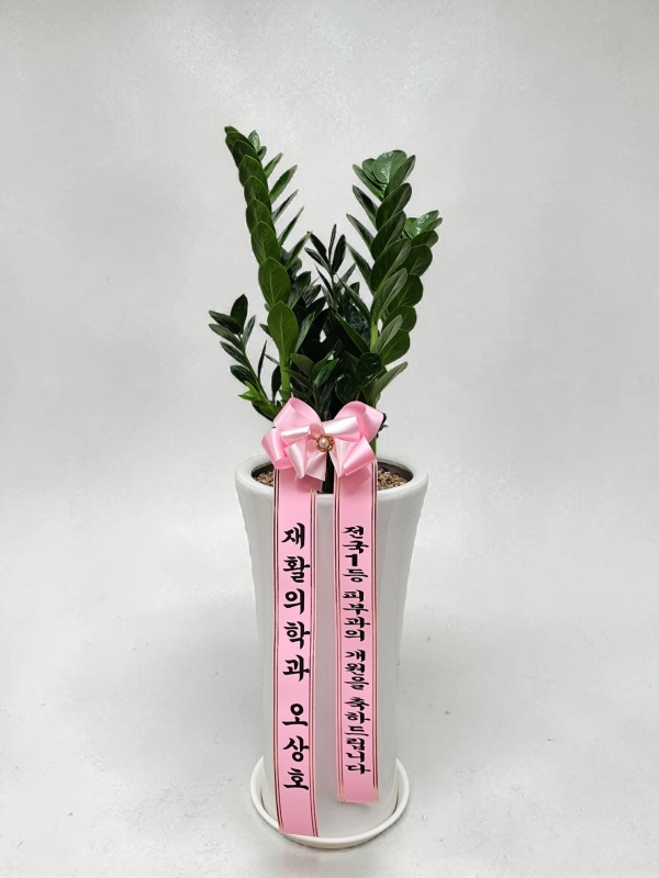 �������� ������õ - �̱׷��� ������ C �ɹ�� ���� 