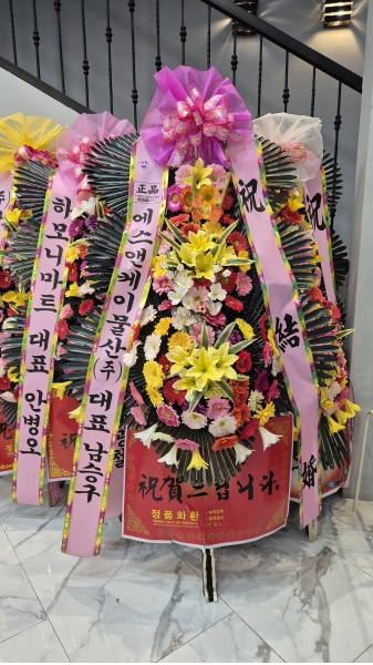 ������ ���� ����3��ȭȯ �ɹ�� ���� 