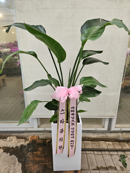 Office & Nature -  ������ �Ƹ���� ������ (ȭ�Ⱑ ����� �� �ֽ��ϴ�.) �ɹ�� ���� 