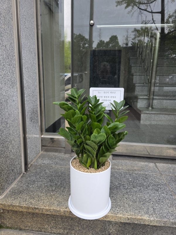 [����,�������,����ȭ�⺯��] �����ϴ� ���� ��� -  ������ ������ �ɹ�� ���� 