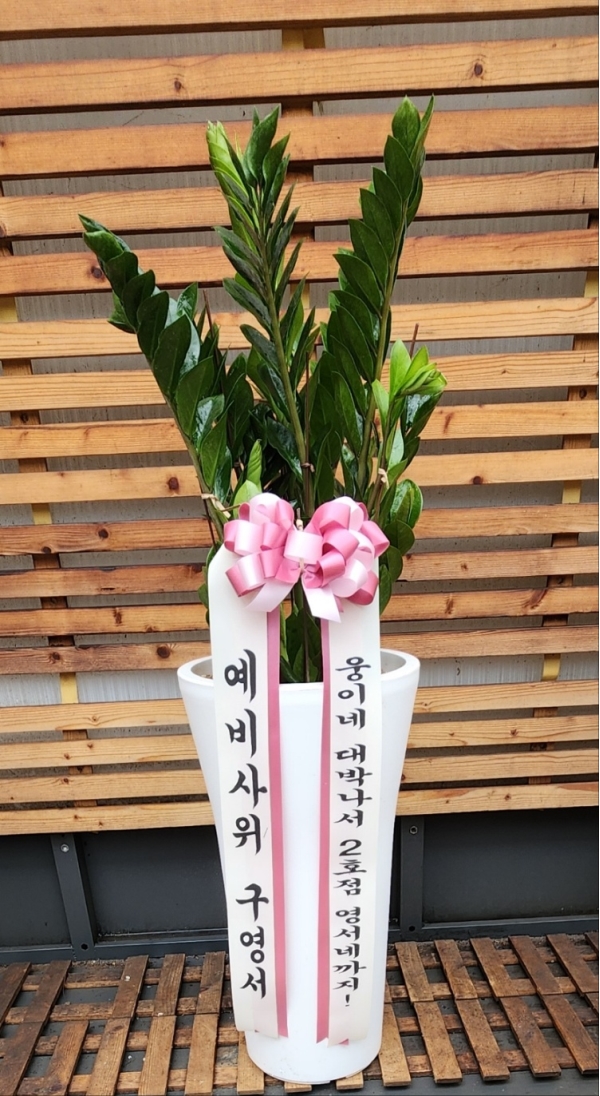 �ǳ����� Ű��� ���� �������� ����  ������(��) �ɹ�� ���� 