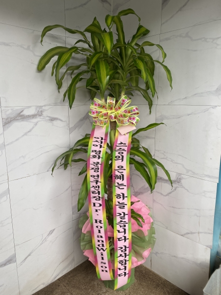 ���� �ɹ�� ���� 