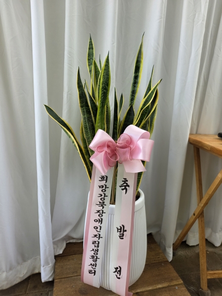 ������õ �������� - ���Ⱑ �������� �꼼������(��)(ȭ�Ⱑ ����� �� �ֽ��ϴ�.) �ɹ�� ���� 