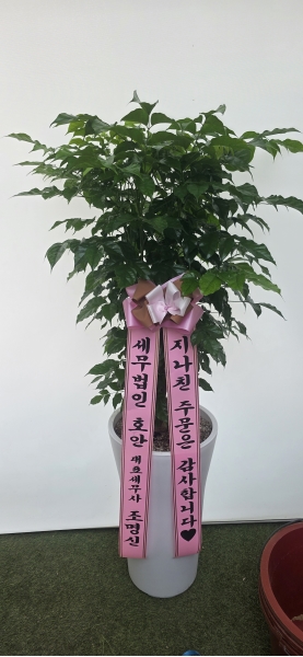 ������õ �������� - ���� �캸��B �ɹ�� ���� 