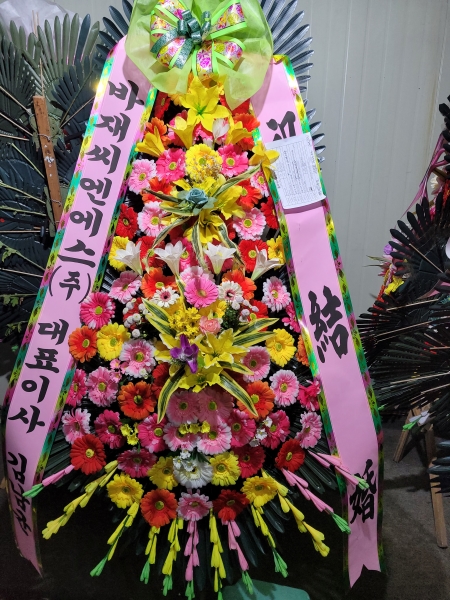 ����3�ܱ⺻ȭȯ �ɹ�� ���� 