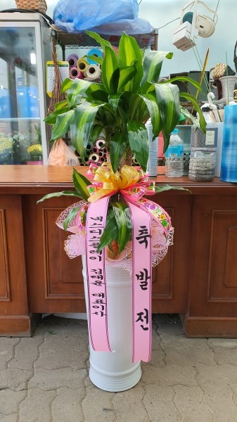 [ȭ�а�����õ] ���� �ɹ�� ���� 