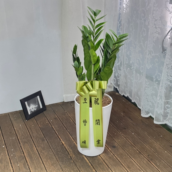 �������� ������õ - �̱׷��� ������ C �ɹ�� ���� 