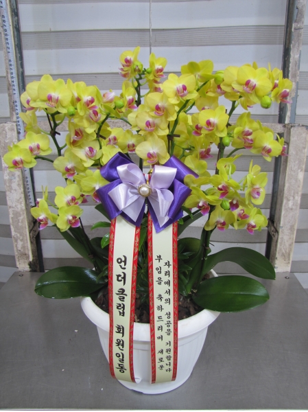 ������ ������ ����� �Բ� ������, ��� ȣ���� �ɹ�� ���� 