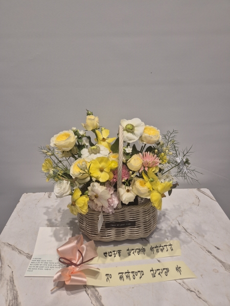 �޻� ���� �� �ٱ��� �ɹ�� ���� 