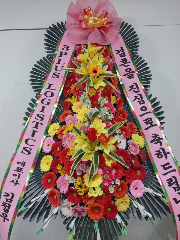 ����3�ܱ⺻ȭȯ �ɹ�� ���� 