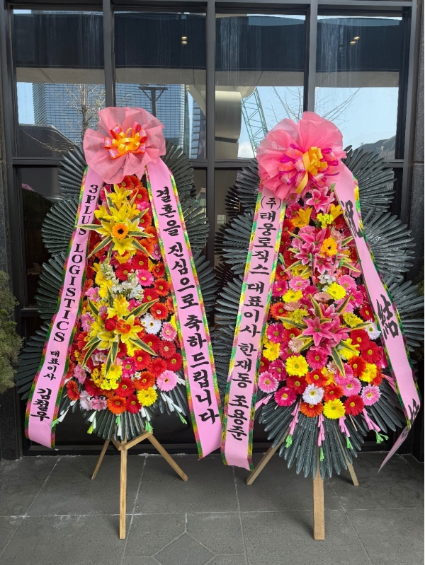 ����3�ܱ⺻ȭȯ �ɹ�� ���� 