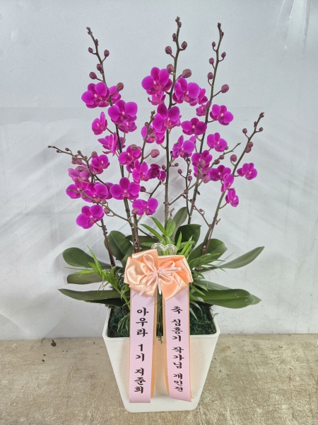 ������ ù������ ���ο� ������ �����ϴ�, ���� ��ũ ȣ���� ��õȫ �ɹ�� ���� 