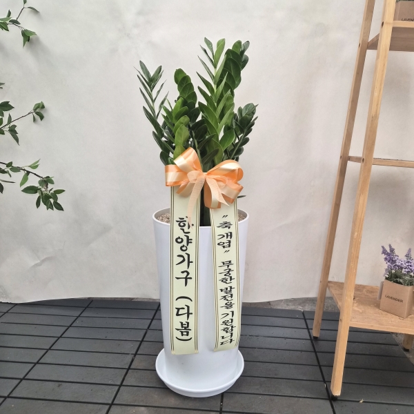 �������� ������õ - �̱׷��� ������ C �ɹ�� ���� 