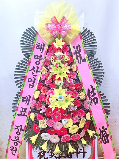 ����3�ܱ⺻ȭȯ �ɹ�� ���� 