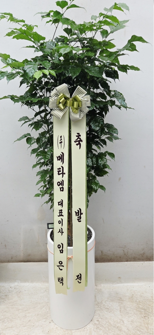 �������� ������õ - ���� �캸��A �ɹ�� ���� 