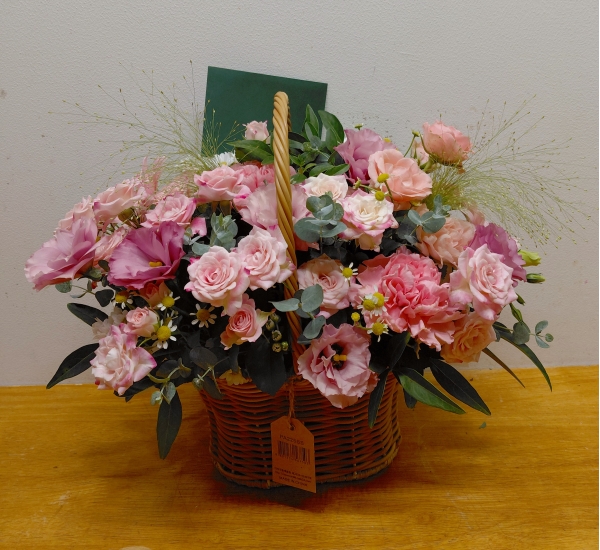 []Rose day-ູ  ɹ  